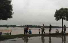 长江迎来第1号洪水 武汉举水河出现70米溃口