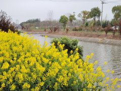 AIҽЩҪҥֻٹ±಻ȫ