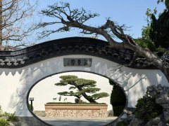 张亚尔诗配画(五题)