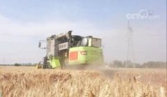 “麦客”开启“逐粮之旅”