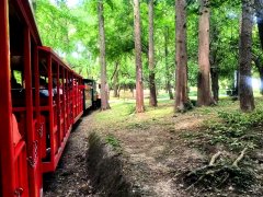 刘健泰|此时 此景 犹叠加——晚霞尽朝晖之十一