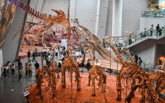 让“博物馆热”少点虚热