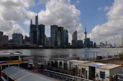 假中医在线问诊 高价秘方实为常见药