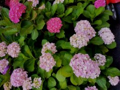 读完《活着》我悟了