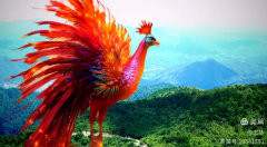 晏志华|凤凰涅槃浴火重生——知青是最顽强的一代人