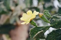 佳作欣赏:昆明的雨