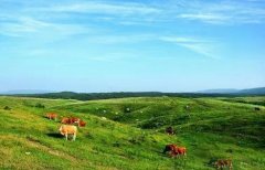 жײ顿Ϻ֪ءΡηżʵ2