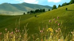 ̩|ĺǣ ޡЦ̸ֹˮ֮ʮ