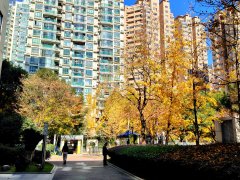 海外六刀无效,沪上一次治愈