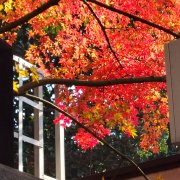 《上海知青志》编纂的现实与历史意义初探