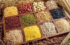 常吃“抗性淀粉”食物,肝脏和肠道都受益