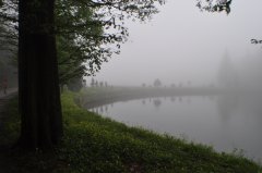 ۶�������Ƽ���ˮλ