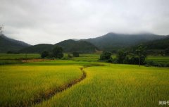 知青志为何强调资料的重要性