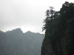 �����졤�����½�