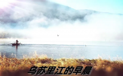 �����ｭ����