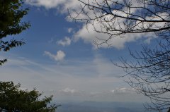 ������ȣ����ͼ�������ֵ�þ���