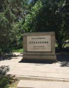 周末|散文《未竞的梦》