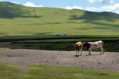 �Ϻ� �����ɹ�֪��ͼ��Ŀ¼�����֣�