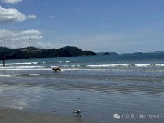 2026�괺�������ˡ�����������