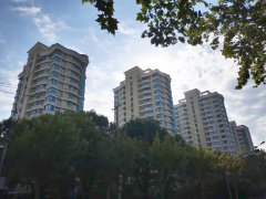 ��ʧȥ�Ϻ����ڡ��ġ������ˡ���˭��