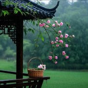 �������࣬��������ù����ô�죿ҽ�����