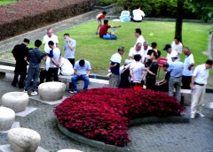 ʱ�ⲻ�� ���ѡ������