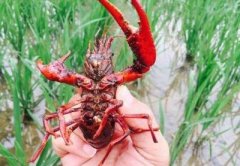  ������Ϻ���ȳ�֮�£�����غð�ȫ���ߣ�