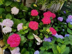  ����ҹ+��ҹ����˫�������ɲ���