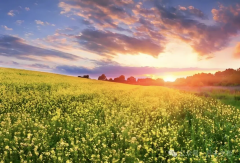 �ƻ裬�������Ͳ˻������