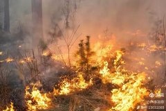 ��һ����ɽ���