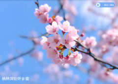 �����������