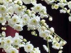 ��2026��ս���Ҽ���ѧϰ�����С����У�֮����