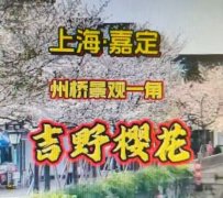 �Ͻ��α仨����