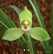 ͥԺ����Ʈ����