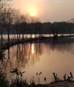 ����Э�ᣬ���д��ڵļ�ֵ�ͱ�Ҫ��