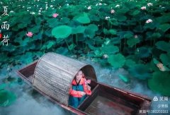 感受夏雨
