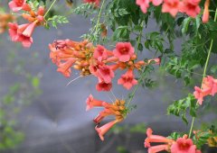 ��ϸ������ӭǿ��ܣ���������ί���������Ÿ�ϸ���������롱
