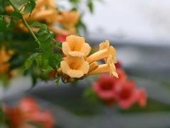 �������ˣ����ܲ��ܣ������������λ��ʧ���˽�������������