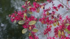 �й���̳Ϊ�����������
