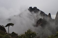 ��China Cool���ɺ����ȴʡ����������죬ȥ�й��ɸ���
