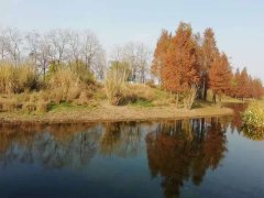 �о����֣����������λԽ��������������Խ�ͣ�
