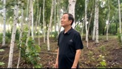 刘健泰|宝剑锋从磨砺出 梅花香自苦寒来--古文浅言吾曰之九十九