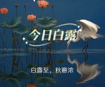 ����|ʫ��.��¶
