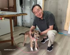 刘健泰|善意 爱意 互动 互慰一一长路心之歌之十一
