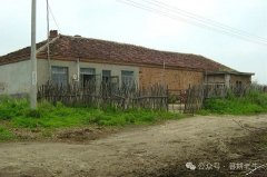 ��������ѧУǽ�ϵ��ֻ�